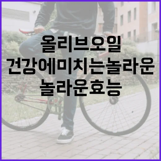 올리브오일이 건강에 미치는 놀라운 효능 알아보기 - 요약