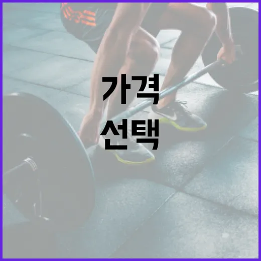 마운자 가격 알아보기: 합리적인 선택을 위한 팁 - 요약