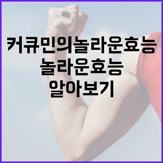 커큐민의 놀라운 효능 알아보기 - 요약