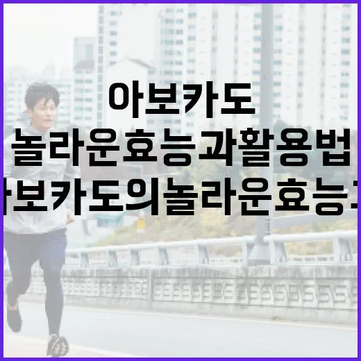아보카도의 놀라운 효능과 활용법 - 요약