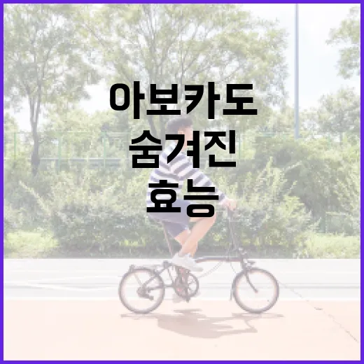 아보카도의 숨겨진 효능, 이렇게 활용해보세요! - 요약