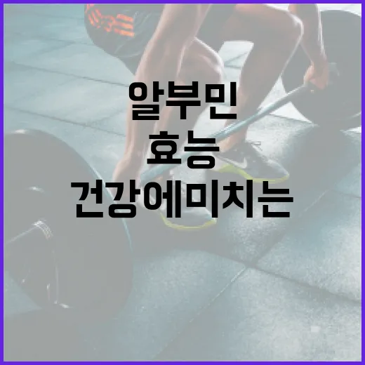 알부민의 놀라운 효능과 건강에 미치는 영향 - 요약