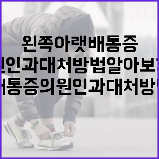 왼쪽 아랫배 통증의 원인과 대처 방법 알아보기 - 요약