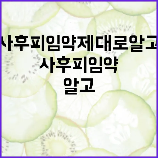 사후피임약 제대로 알고 사용하기 - 요약