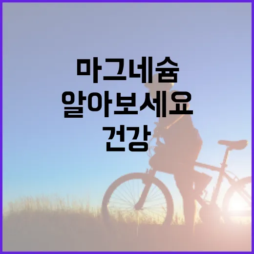 마그네슘, 왜 건강에 필수일까요? 알아보세요! - 요약