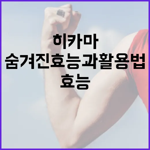 히카마의 숨겨진 효능과 활용법 - 요약