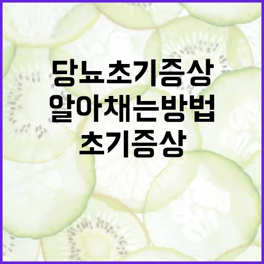 당뇨 초기증상 알아채는 방법 - 요약