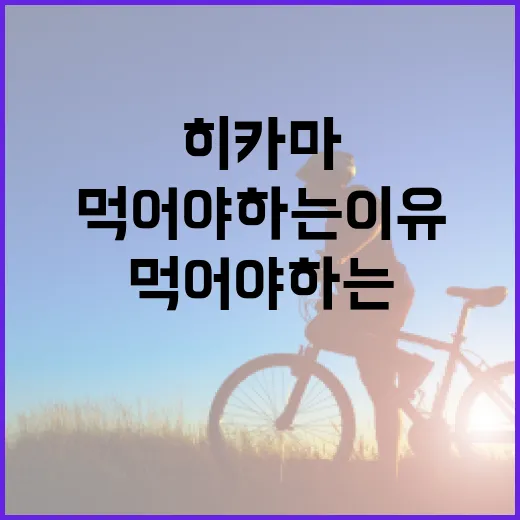 히카마를 먹어야 하는 이유와 즐기는 방법 - 요약