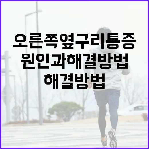 오른쪽 옆구리 통증, 그 원인과 해결 방법 - 요약