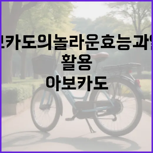 아보카도의 놀라운 효능과 일상에 활용하기 - 요약