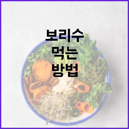 보리수 맛있게 먹는 방법과 건강한 활용법 - 요약