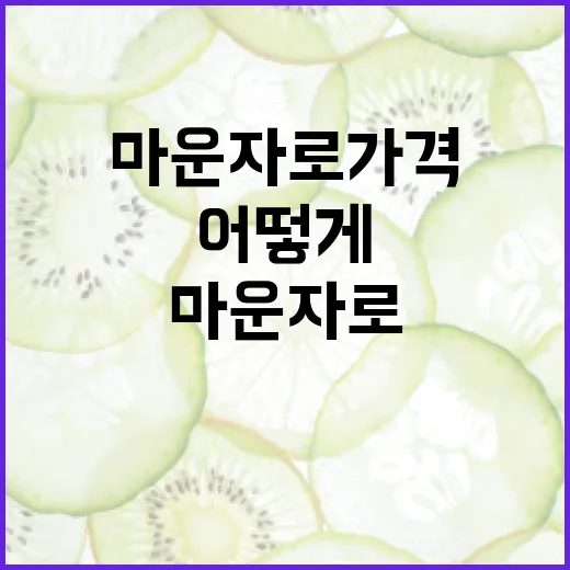 마운자로 가격, 어떻게 결정될까? - 요약