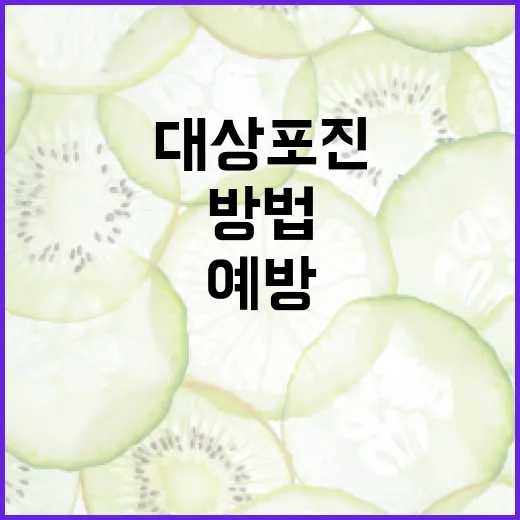 대상포진 예방과 관리 방법 - 요약