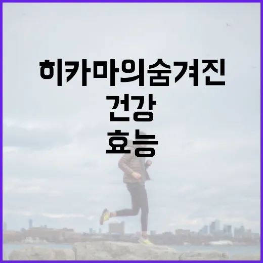 히카마의 숨겨진 효능을 알아보자: 건강에 좋은 이유 - 요약