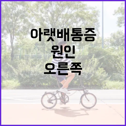 오른쪽 아랫배 통증, 걱정하지 마세요: 원인과 대처법 - 요약