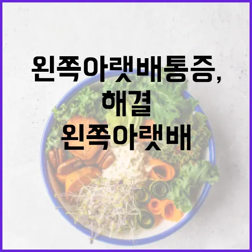 왼쪽 아랫배 통증, 왜 생기고 어떻게 해결할까? - 요약