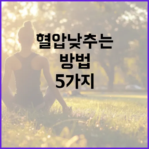 혈압 낮추는 5가지 자연스러운 방법 - 요약