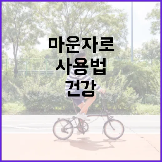 마운자로 사용법: 자연의 힘으로 건강을 챙기는 방법 - 요약