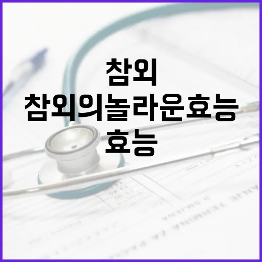 참외의 놀라운 효능을 알아보아요 - 요약