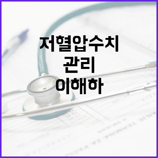 저혈압 수치 제대로 이해하고 관리하는 방법 - 요약