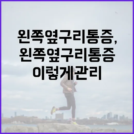 왼쪽 옆구리 통증, 이렇게 관리해보세요 - 요약