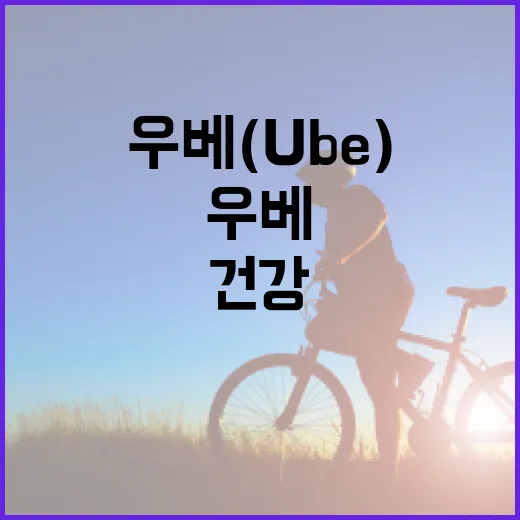 우베(Ube)로 건강하게 즐기는 방법 - 요약