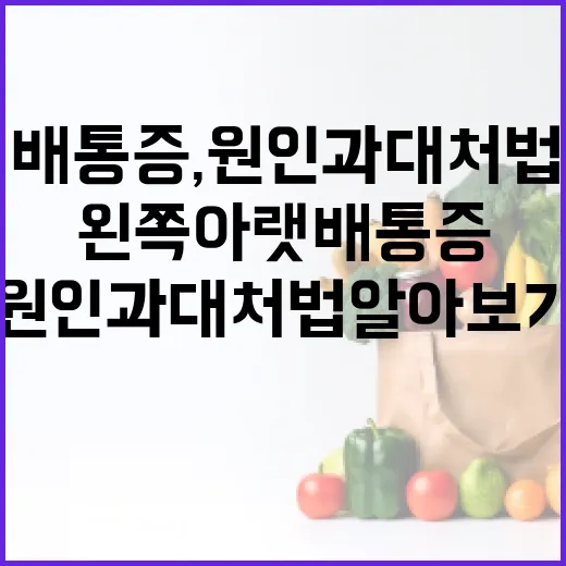 왼쪽 아랫배 통증, 원인과 대처법 알아보기 - 요약