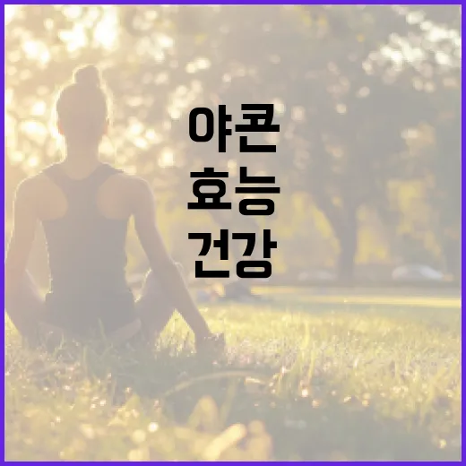야콘, 건강하게 먹는 방법과 효능 - 요약