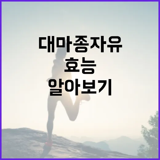대마종자유의 놀라운 효능 알아보기 - 요약