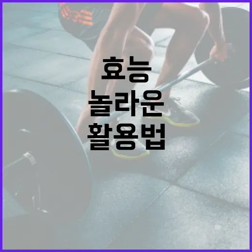 마그네슘의 놀라운 효능과 활용법 - 요약