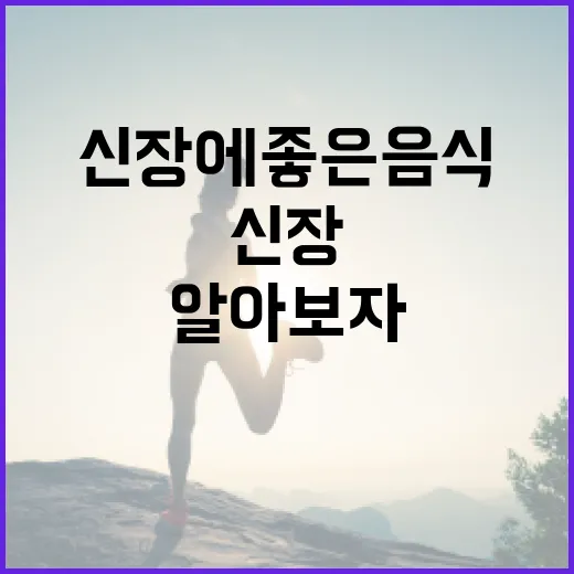 신장을 건강하게! 신장에 좋은 음식을 알아보자 - 요약