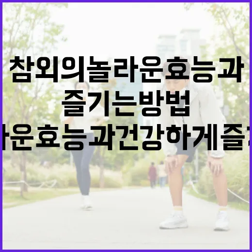 참외의 놀라운 효능과 건강하게 즐기는 방법 - 요약