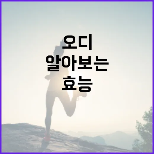 오디의 효능을 제대로 알아보는 방법 - 요약