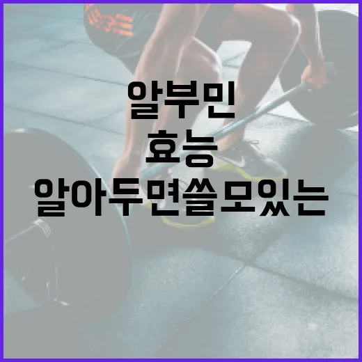 알부민의 놀라운 효능, 알아두면 쓸모 있는 정보 - 요약