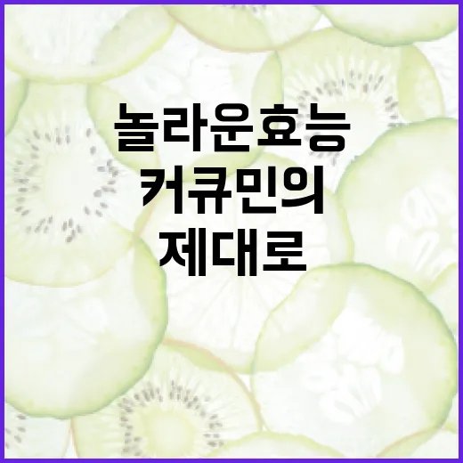 커큐민의 놀라운 효능과 제대로 활용하는 방법 - 요약