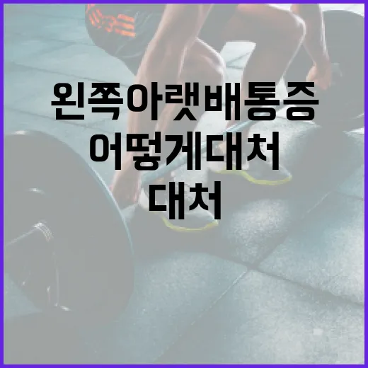왼쪽 아랫배 통증, 어떻게 대처할까요? - 요약