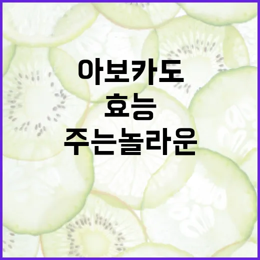 아보카도가 우리 몸에 주는 놀라운 효능 - 요약