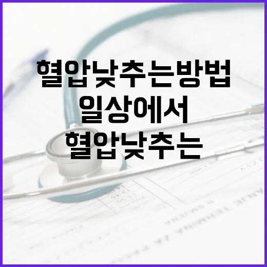 일상에서 쉽게 혈압 낮추는 방법 - 요약