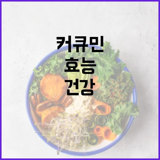 아이미산으로 건강하게 사는 법 - 요약