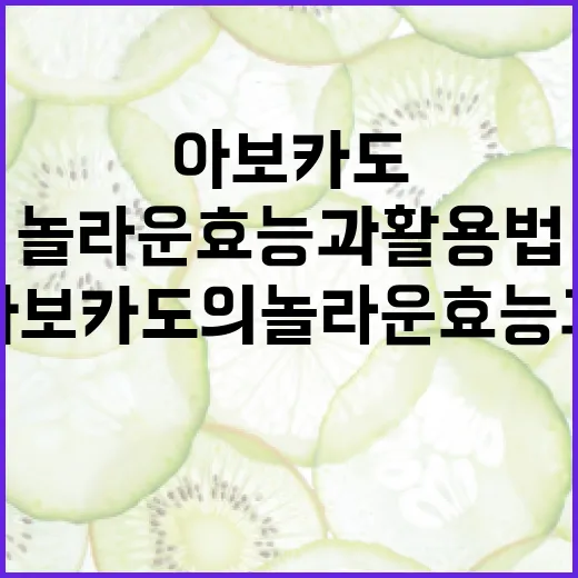 아보카도의 놀라운 효능과 활용법 - 요약