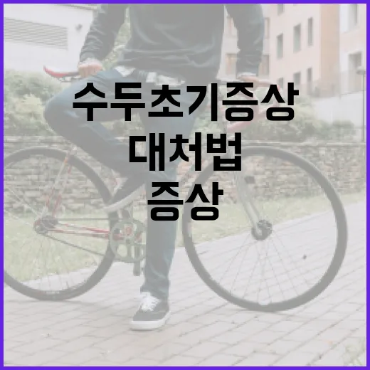 수두 초기증상을 알아보는 방법과 대처법 - 요약