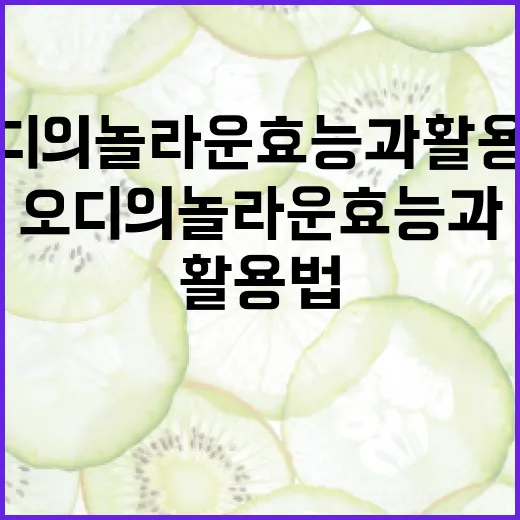 오디의 놀라운 효능과 활용법 - 요약