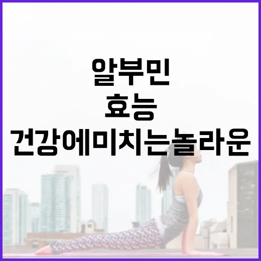 알부민이 건강에 미치는 놀라운 효능 알아보기 - 요약