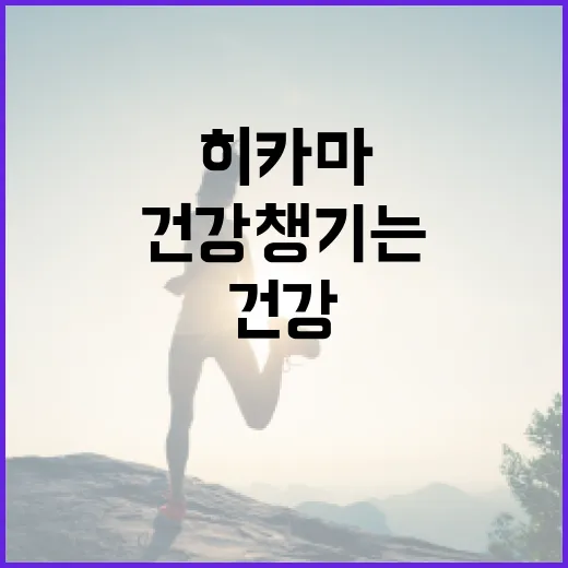 히카마로 건강 챙기는 방법, 지금 시작하세요 - 요약
