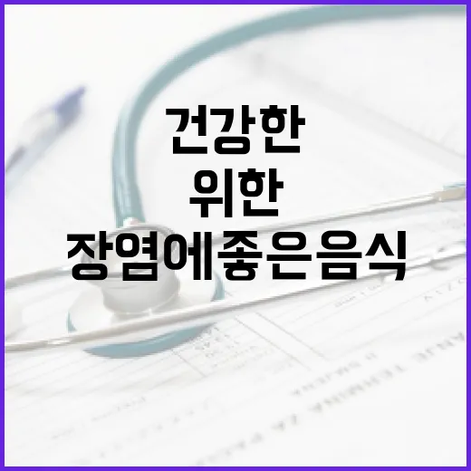 장염에 좋은 음식을 알아보자: 건강한 복구를 위한 지침서 - 요약