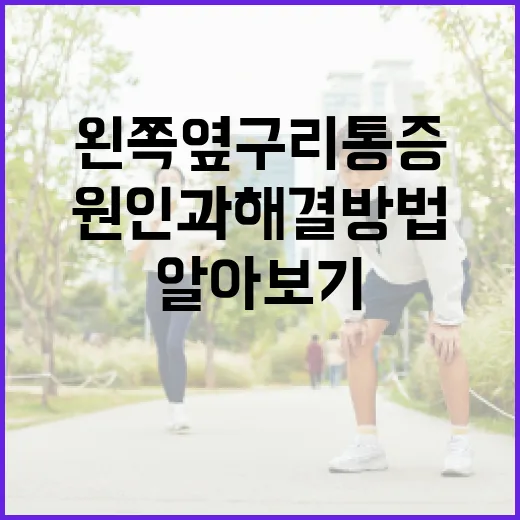 왼쪽 옆구리 통증, 원인과 해결 방법 알아보기 - 요약