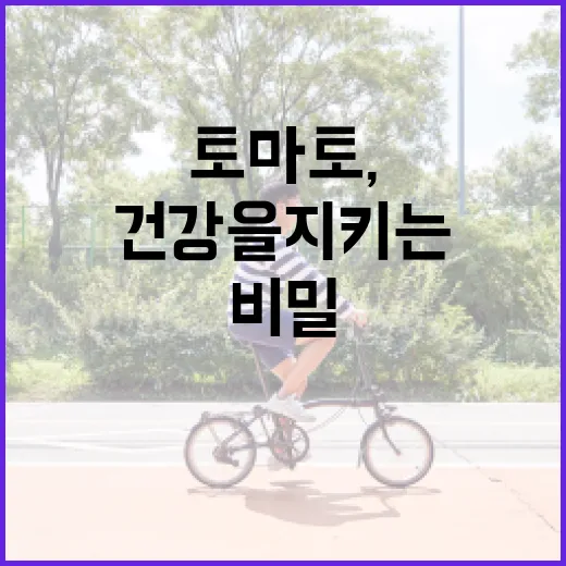 토마토, 당신의 건강을 지키는 맛있는 비밀 - 요약