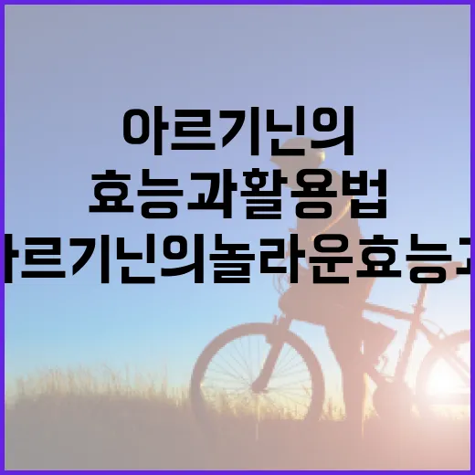 아르기닌의 놀라운 효능과 활용법 - 요약