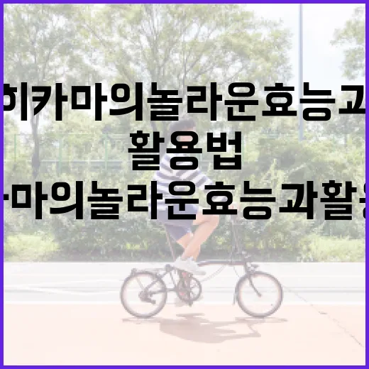 히카마의 놀라운 효능과 활용법 - 요약