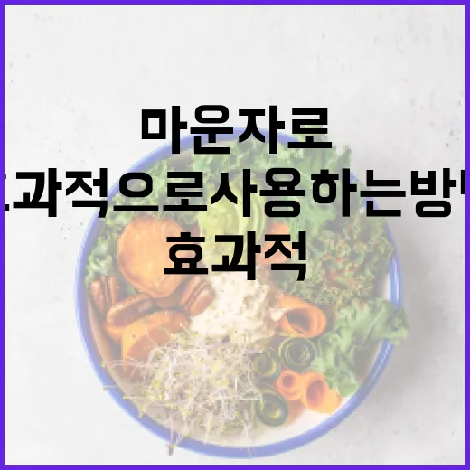 마운자로를 효과적으로 사용하는 방법 - 요약
